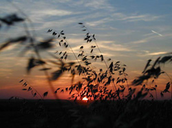 Paysage Le Gâtinais