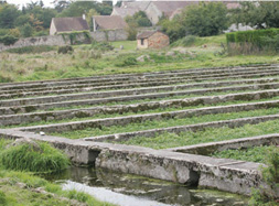 Le Gâtinais