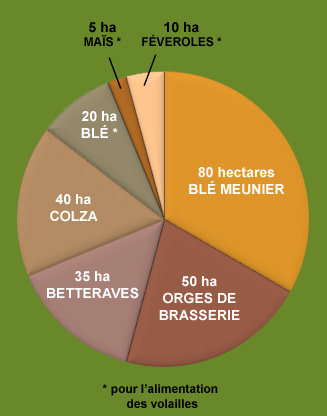 Diagramme répartition des cultures