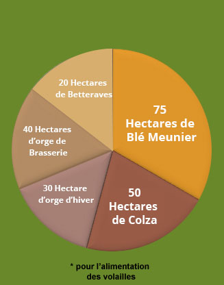 Diagramme répartition des cultures